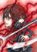 Vampire Knight 11 (Small)